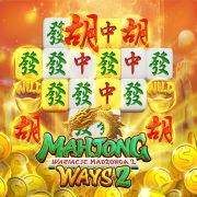nn55bet