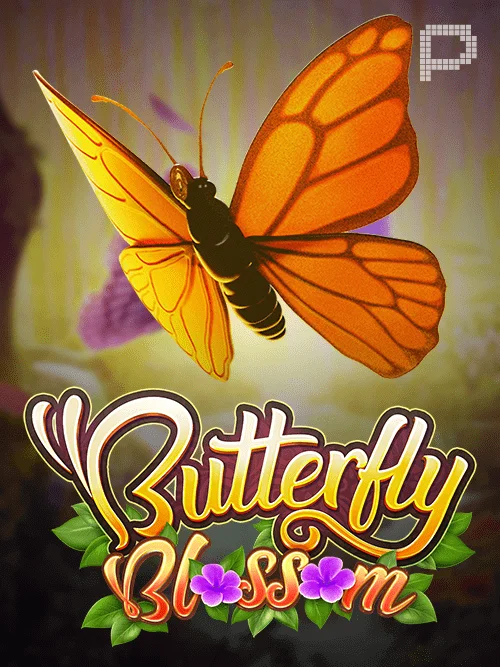 cruzebet
